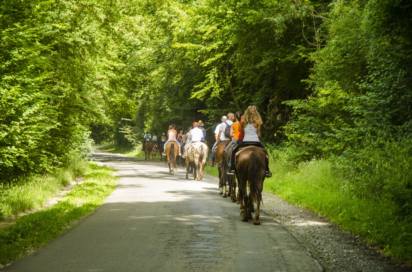 Promenade à cheval autour du château de Vêves