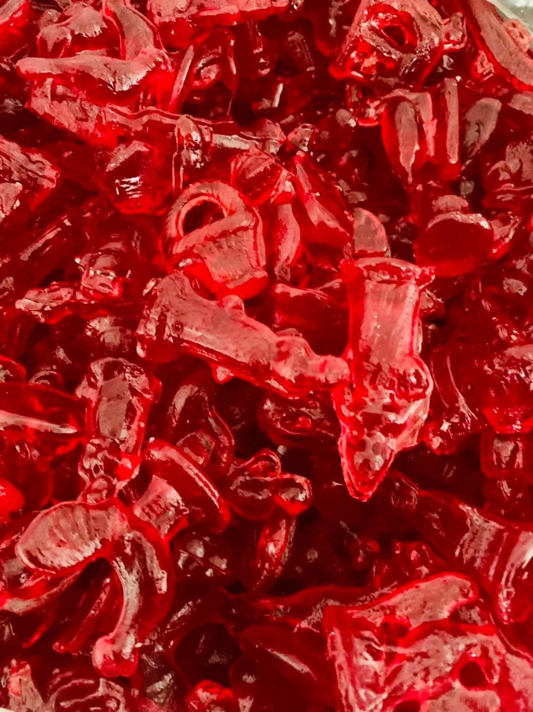 Christmas in the Ardennes: succumb to the charm of red sugar - ADT des ...