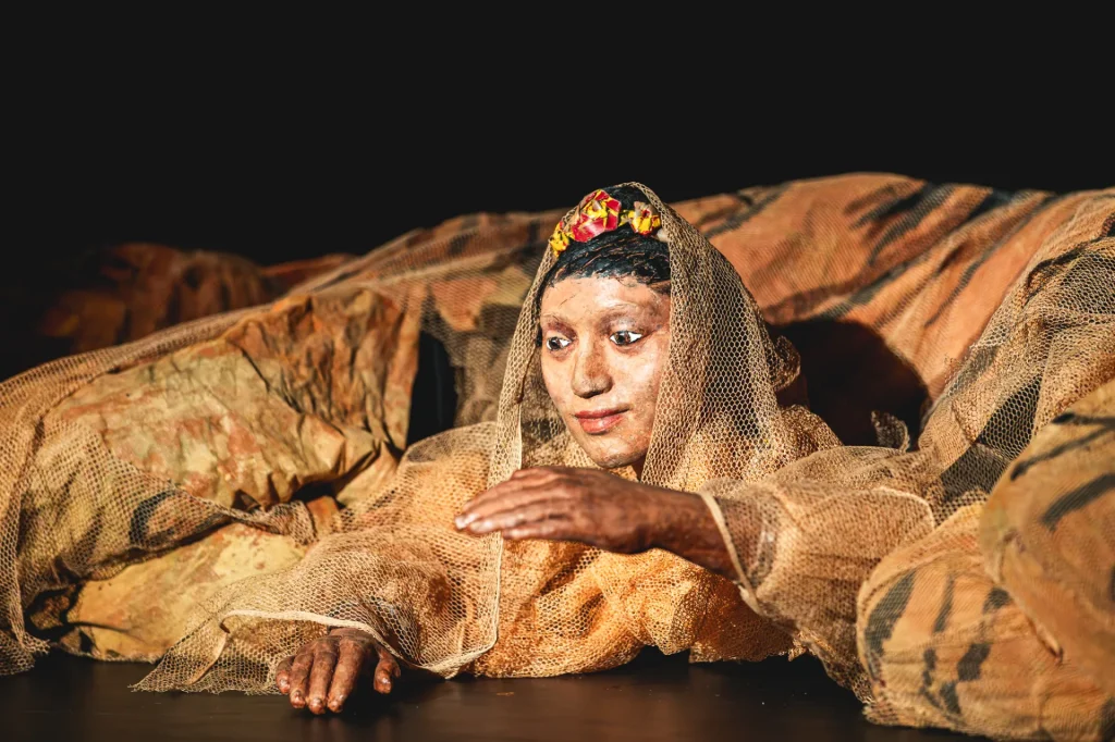 spectacle de marionnettes en intérieur - Festival mondial des théâtres de marionnettes 2025 à Charleville-Mézières dans les Ardennes