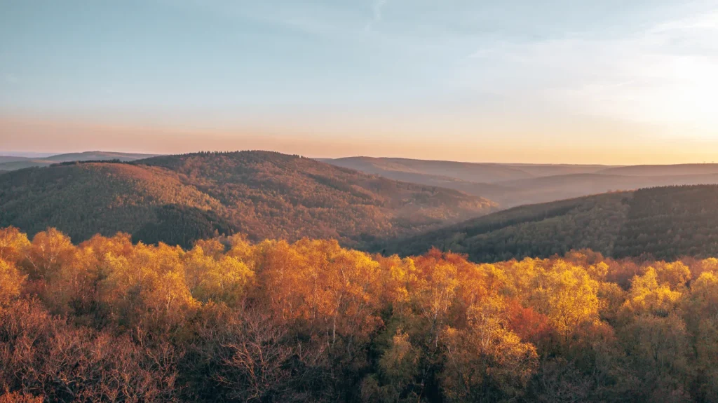 paysage couleurs automne dans les Ardennes