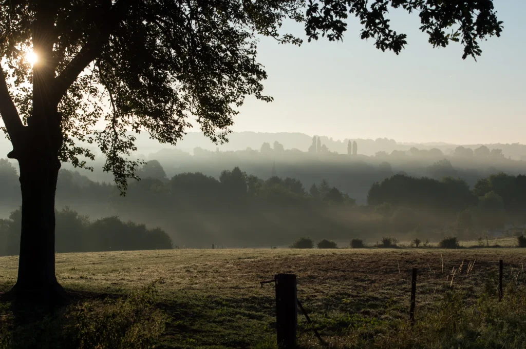 Les Crêtes Préardennaises à Signy-L