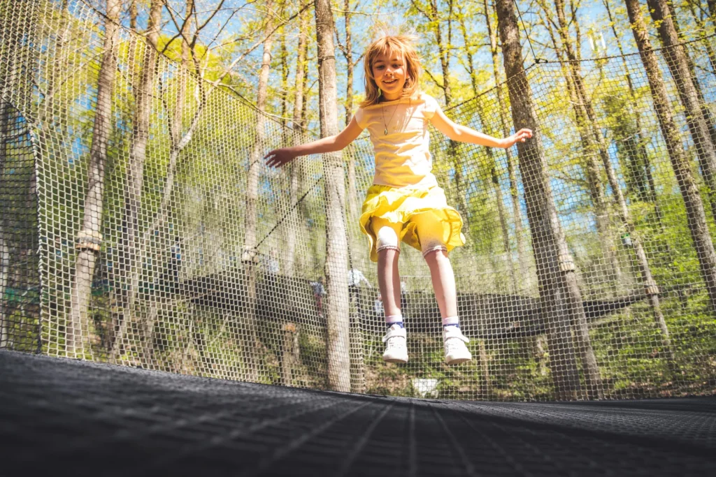 Hamac à bond au Parc Argonne Découverte dans le sud des Ardennes