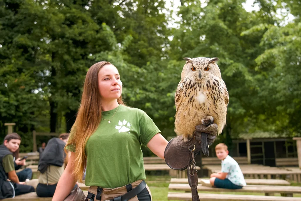 Vol des oiseaux avec rapace au Parc Argonne Découverte dans le Sud des Ardennes