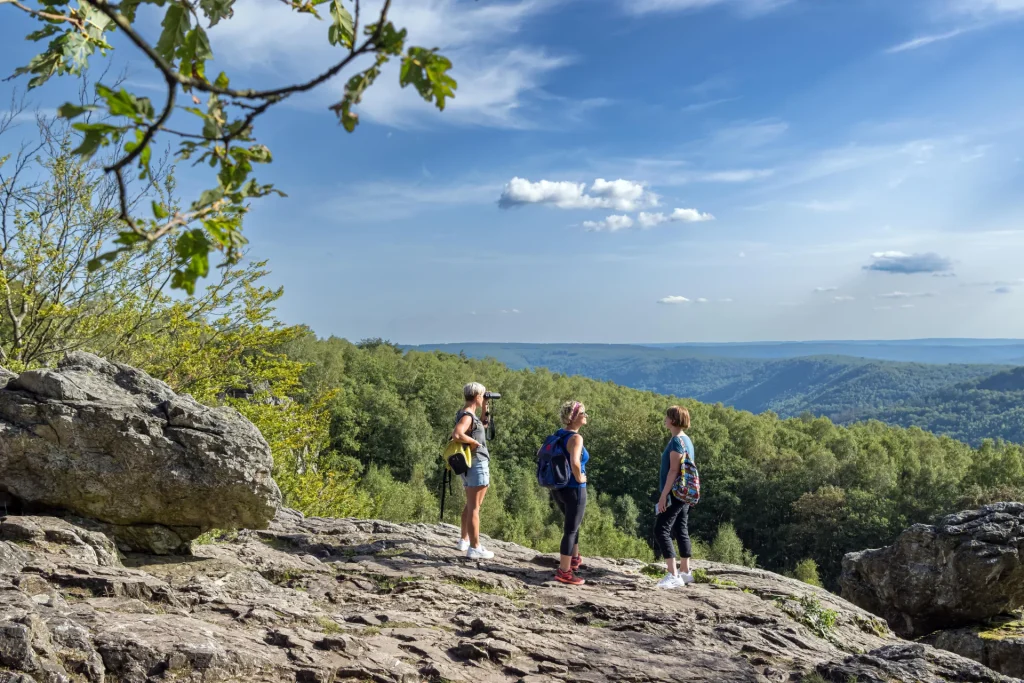 Vue depuis le Roc la Tour dans les Ardennes 