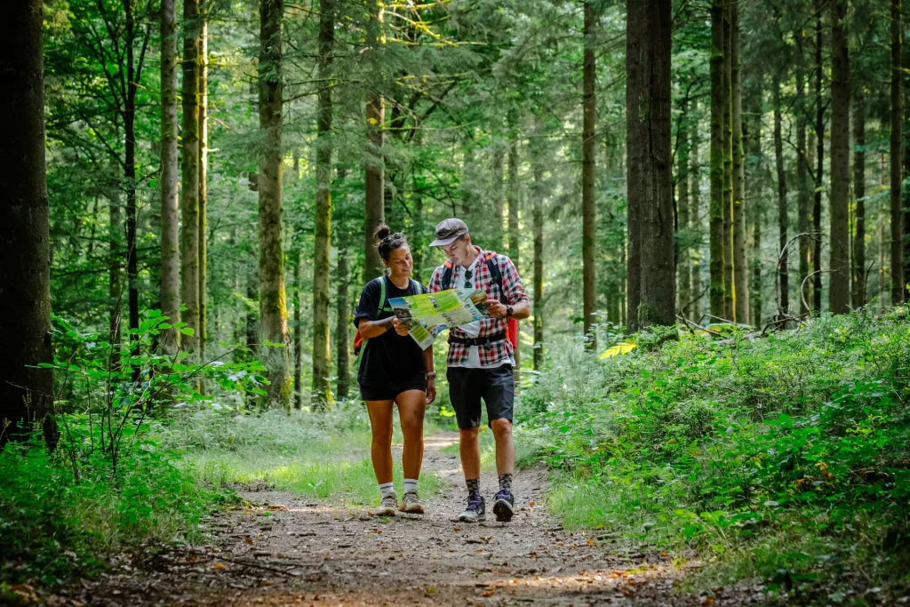 randonneurs en forêt dans les Ardennes