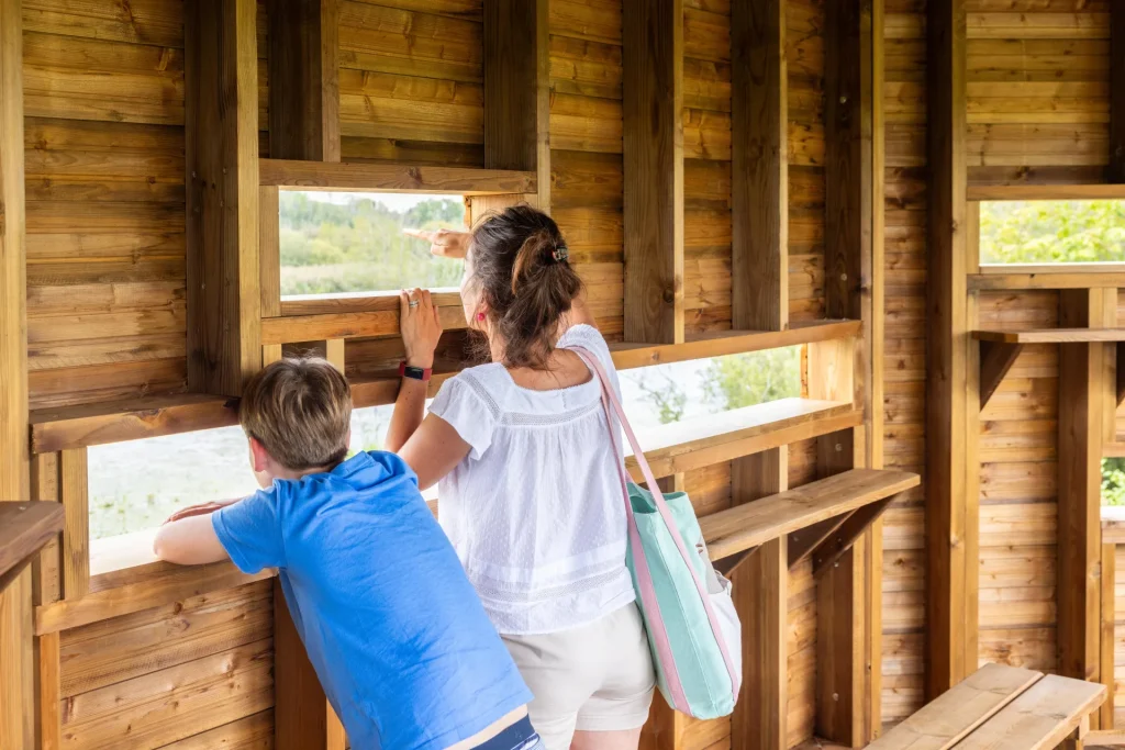 observatoire ornithologique au lac de Bairon dans les Ardennes