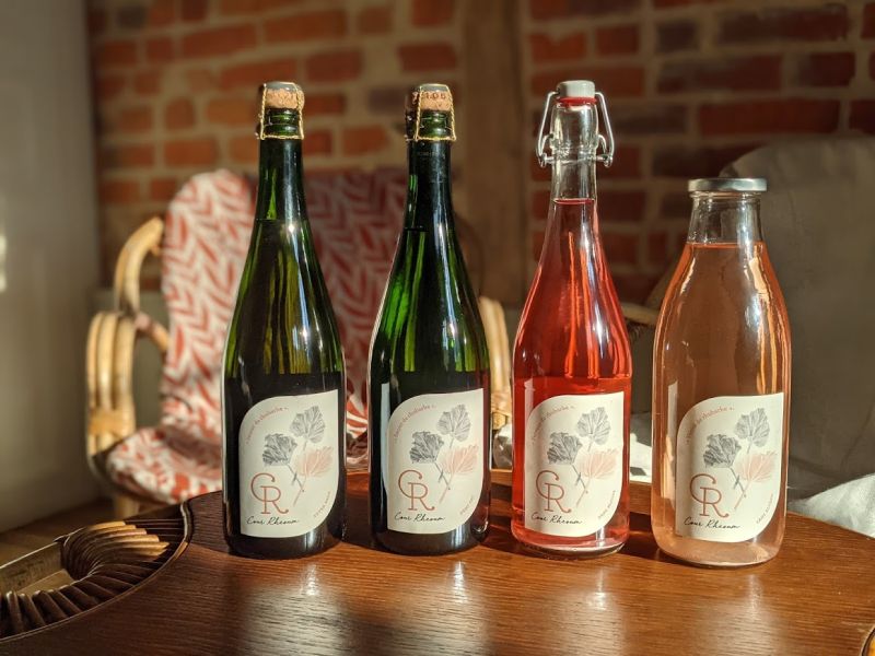 Boissons à la rhubarbe de la ferme Cour Rheoum