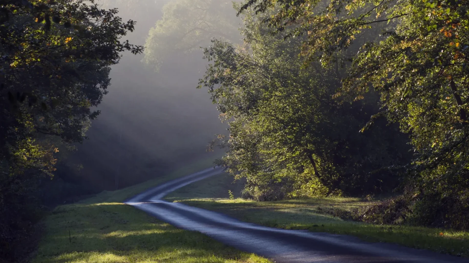 Le Chemin de Saint-Jacques de Compostelle dans les Ardennes à Signy-L'Abbaye