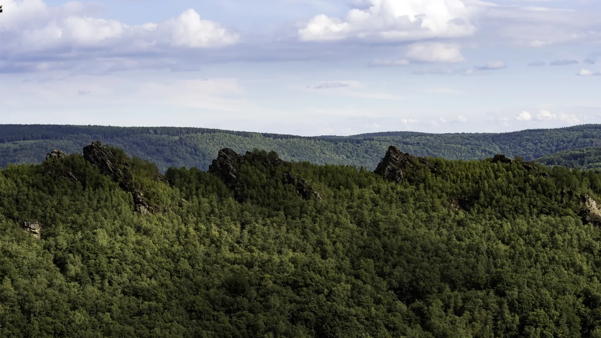 Site naturel des 4 Fils Aymon à Bogny-sur-Meuse dans les Ardennes