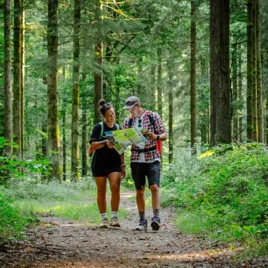 randonneurs en forêt dans les Ardennes