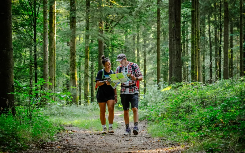randonneurs en forêt dans les Ardennes